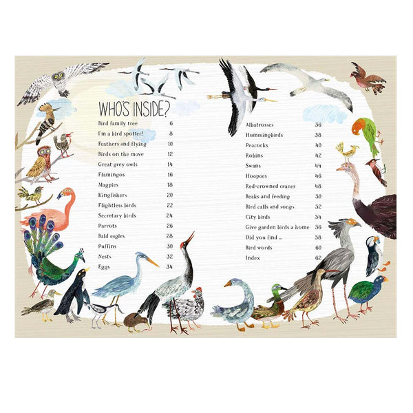 Birds Sticker Book Over 500 Stickers and 12 Unique Scenes