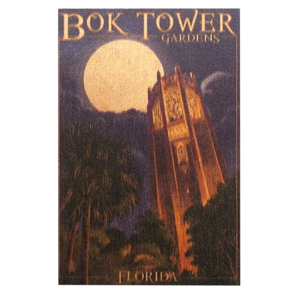 Magnet - Nighttime Tower on Wood