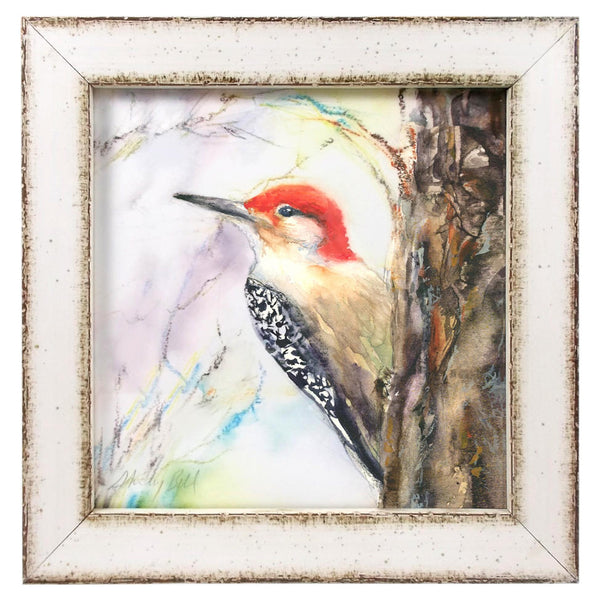 Framed Red-Bellied Woodpecker Giclée Print