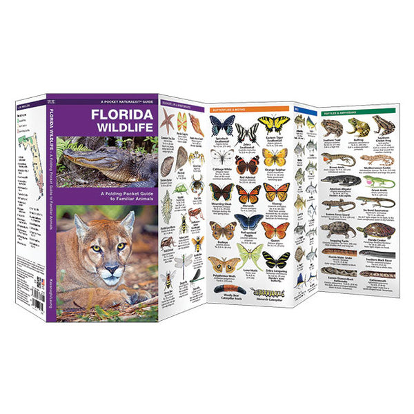 Florida Wildlife Folding Pocket Guide