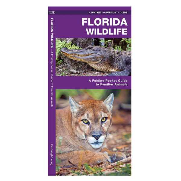 Florida Wildlife Folding Pocket Guide