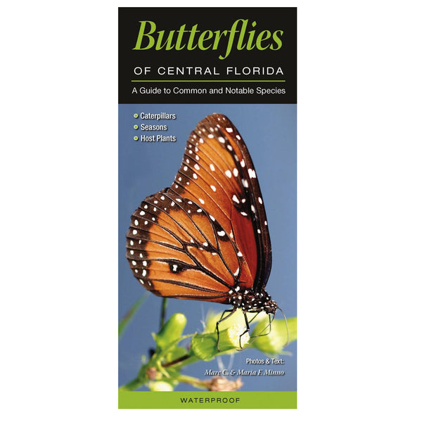 Butterflies Of Central Florida Folding Pocket Guide