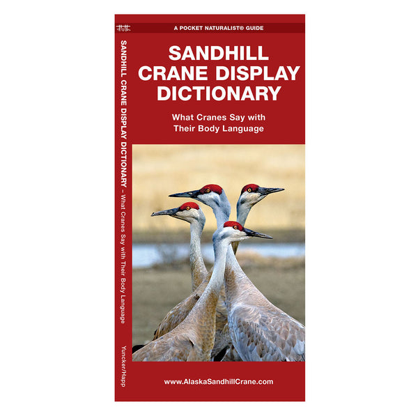 Sandhill Crane Display Dictionary Folding Pocket Guide
